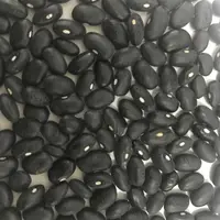 Chinesischen bio schwarze bohne schwarz bean preis