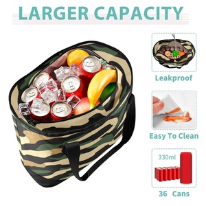 Cheap Price New Fashion Insulated Double Compartment Cooler Bag for Outdoor Customs logo Travel Picnic Bag - Product Image 4