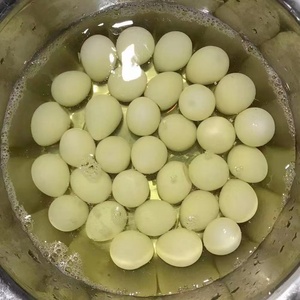 Œufs de caille salés bouillis en conserve, 425g, fabriqués en usine - Product Image 3