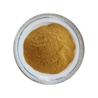 Extrait de fleur d'oranger, poudre de fleur d'oranger amer, qualité alimentaire, fabricant chinois, en stock, livraison gratuite, 1 kg