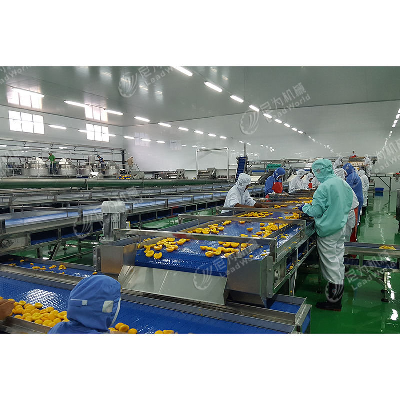 Full Automatic Industrial Bamboo Shoot Making