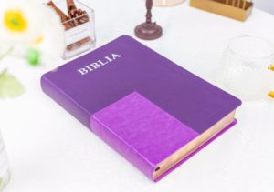 Venta caliente NKJV Biblias <span class=keywords><strong>de</strong></span> impresión grande con pestañas 28/30Gsm Biblias listas impresas Diario <span class=keywords><strong>de</strong></span> estudio en español para niñas - Product Image 6