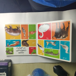 4 libros <span class=keywords><strong>en</strong></span> un juego <span class=keywords><strong>en</strong></span> inglés, cuadernos <span class=keywords><strong>de</strong></span> práctica <span class=keywords><strong>de</strong></span> escritura mágica para niños <span class=keywords><strong>en</strong></span> edad preescolar, libros educativos <span class=keywords><strong>de</strong></span> aprendizaje árabe - Product Image 3