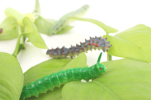 Nhựa thân thiện với môi đáng yêu wiggly lỗi khó khăn Worms gags cười Halloween quà tặng trẻ em Đồ chơi thu nhỏ côn trùng cho nhựa thủ công mỹ nghệ - Product Image 6