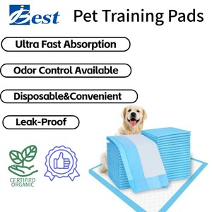 Almohadillas de Entrenamiento Desechables de Algodón para Cachorros, las Más Vendidas de la Fábrica Ibest de Changzhou, Suministros Ecológicos para Mascotas, para Orina de Perro - Product Image 1