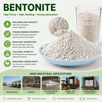 Argile Attapulgite Granulaire Activée 16-30 Mesh pour le Raffinage d'Huile Moteur