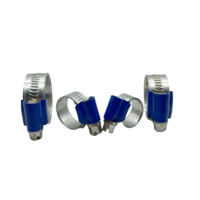 Collier de serrage à vis sans fin en acier inoxydable antirouille à tête bleue pour tuyau d'eau et de carburant automobile