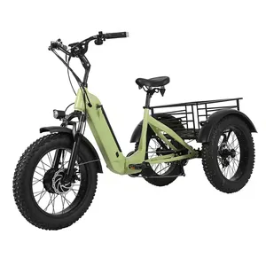 Joyebikes 20-אינץ ממונע 500W 48V 14ah למבוגרים 3 גלגלי מטען ebike שלוש גלגל דואר trike שומן צמיג תלת אופן חשמלי