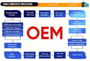 ผงสกัด <span class=keywords><strong>Kalanchoe</strong></span> pinnata จากธรรมชาติสำหรับใช้ในอาหารเครื่องสำอางและอาหารเสริม - Product Image 6
