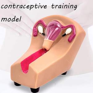 Ensino Modelo Feminino Dispositivo Contraceptivo Intrauterino e Modelo de Treinamento com Órgãos Removíveis para Aprendizagem Display Tool - Product Image 6