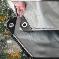 Bâche en PE imperméable pour extérieur, jardin, abri de plantes, bateau, voiture, camion, auvent, voile d'ombrage, couverture pour animaux de compagnie