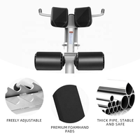 Banc de musculation robuste Roma réglable pour exercices abdominaux et dorsaux, équipement professionnel