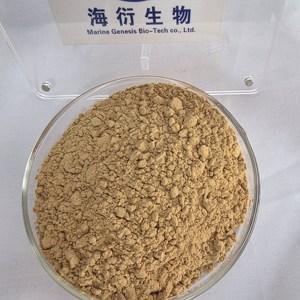 Polvo de Extracto de Hongo Reishi Orgánico Nutritivo Fresco de Alta Calidad, Ganoderma Lucidum 10:1, Probado por Terceros, Antioxidante para Adultos - Product Image 1