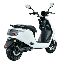 Motocicleta Eléctrica Vintage de Alta Calidad con Certificación EEC COC OEM, Motor Bosch de 3000W, Batería de Litio Doble, Alcance de 110KM para Adultos