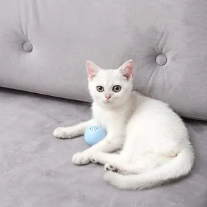 Mainan kucing baru bola musik Self-Hi menghilangkan kaku artefak cahaya memancarkan mainan bola telepon suara kucing Mainan Gigit