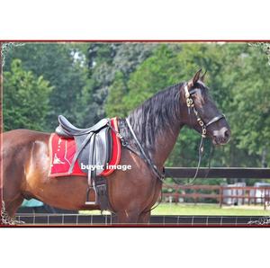 Tapis de selle d'obstacle anglais personnalisé en velours rouge rembourré de mousse – Durable et confortable – Tailles et couleurs sur mesure - Product Image 1