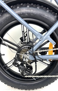 QUEENE/électrique Super puissant vitesse maximale 50km 1000w moteur vélo adulte Ele 20 pouces hors route gros pneu 48v 70km vélo électrique - Product Image 5