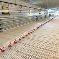Système d'abreuvement automatique pour poulets avec régulateur de pression, filtre et dosage de médicaments pour poulailler
