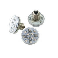 Lampes à points LED Pixel E10 E14 24V 60V IP65 pour parcs d'attractions et fêtes foraines