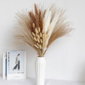 Adorno de hierba de Pampa grande y corta al por mayor, flores decorativas secas conservadas naturales para la Navidad, adornos navideños reales - Product Image 1