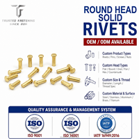 Rivets ronds en laiton sur mesure TianFang, OEM ODM, en acier allié et cuivre, fixations de précision pour pièces automobiles et machines