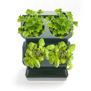 Windowsill Vertical Self Watering Design Kitchen Table Top Planter Countertop Herb Garden Kit