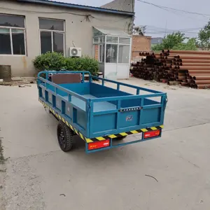 China Hot Selling Electric Cargo Trike Tricycle 3 Wheel Electric Tricycle 48V 1200W Manufacturer