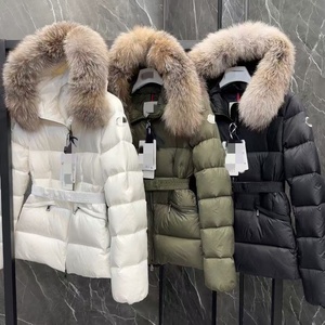 Nouvelle Doudoune Courte Femme Hiver 2025 Imperméable à Col Montant et Taille Cintrée, en <span class=keywords><strong>Duvet</strong></span> de Canard Blanc Brillant Effet Nacré, Sans Lavage, Coupe Slim - Product Image 5