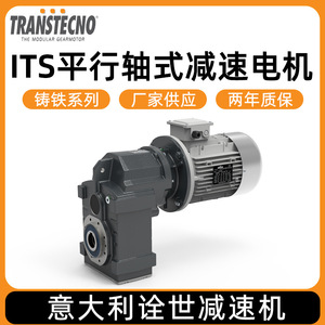 TRANSTECNO, un fabricante italiano de motores de eje paralelo con engranajes de la serie ITS de hierro fundido. - Product Image 5