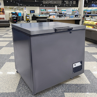 Congélateur coffre à porte supérieure pour aliments, économie d'énergie commerciale, 200L, 300L, 400L, 500L, Top Golding