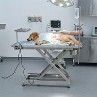 Table d'opération vétérinaire électrique chauffante robuste avec hauteur réglable pour animaux de compagnie