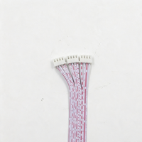 Câble plat XH 2,54 mm, rouge et blanc, faisceau de câbles, double connecteur blanc, câble de raccordement pour connexion interne des équipements d'éclairage