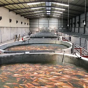 Zohras — équipement agricole de la crevette d'intérieur, équipement pour recirculation des poissons à l'intérieur, ferme de poissons à haute densité