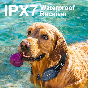 Patpet Entrenador de Perros Inteligente Ajustable, Collar de Entrenamiento con Control Remoto Ipx7 a Prueba de Agua, 3 Modos, 2000 Pies - Product Image 5