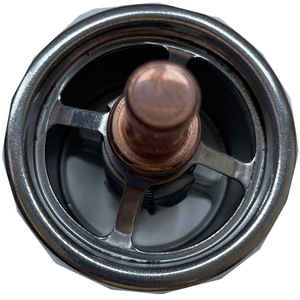 เทอร์โมสตัทเครื่องยนต์ Thomson รุ่น 248-5513 247-7133 สำหรับรถขุด Caterpillar C13 345D 349D อะไหล่ - Product Image 3