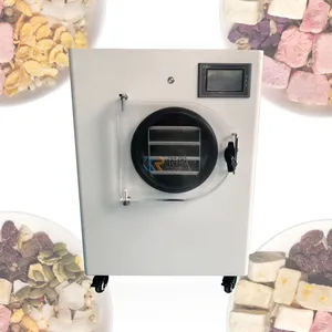 2024 Lab Home Use Mini Food Fruit Freeze Drying Equipment Price Freeze Dried Machine Vegetable Freeze Dryer