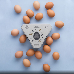 New Triangle Mailer <strong>Box</strong> With Custom Logo Corrugated Egg <strong>Storage</strong> <strong>Box</strong> <strong>Cardboard</strong> Offset Printing Industrial - Product Image 3