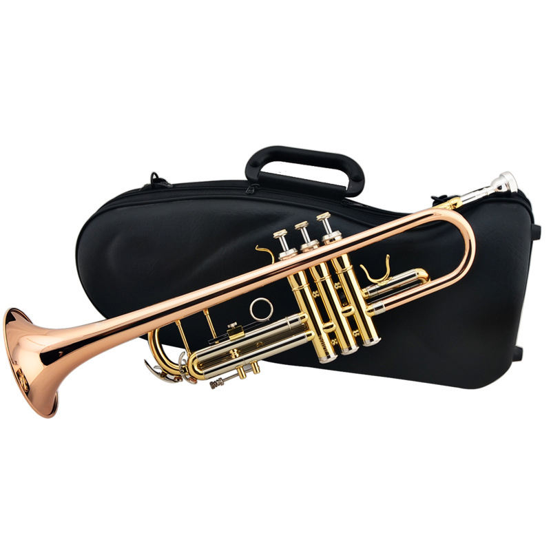 Trumpet Band Musical Instruments - Premium Phosphor Bronze