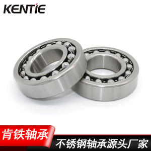 Rodamiento de Bolas de Doble Hilera Autoalineable de Acero Inoxidable Abierto S6210 S1205 Fabricado al por Mayor a Granel Desde S1206 - Product Image 2