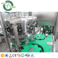 Machine de remplissage de canettes PET 2 en 1 12-1 Monobloc PLC Control Carbon Dioxide Carbonated Soda Water Beverage Mouming Wine 200ml 250ml