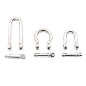 Heavy Duty 304/316 Stainless Steel D Type Shackle Bow Shackle For Lifting Rigging