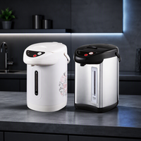 Bouilloire Électrique 750W en Acier Inoxydable avec Fonction Réchauffement, Jauge de Niveau d'Eau Visible, Arrêt Automatique, 3-5L, pour Maison, Hôtel, Camping-car