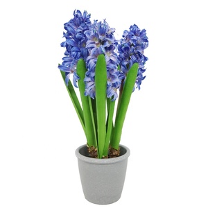 Hyacinthe artificiel blanc délicat avec <span class=keywords><strong>des</strong></span> accents de rose pâ<span class=keywords><strong>le</strong></span> dans un pot en céramique poussiéreux, un délice romantique pour la table - Product Image 5