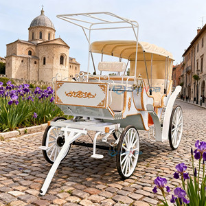 Nuevo Diseño de Carruaje Eléctrico Personalizado de 6 Plazas para Bodas, Tipo Cenicienta o Calabaza, Arrastrado por Caballos - Product Image 1