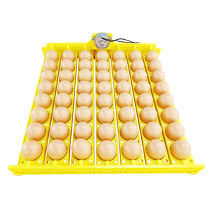 56 bandejas para incubadora de huevos con motor de volteo automático para huevos de gallina, pato y codorniz - Product Image 3