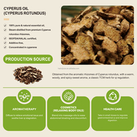 Minyak Esensial Cyperus Ekstrak Tumbuhan Alami Sampel Gratis Grosir 100% Minyak Cyperus Rotundus Murni untuk Perawatan Kulit Penghilang Rambut