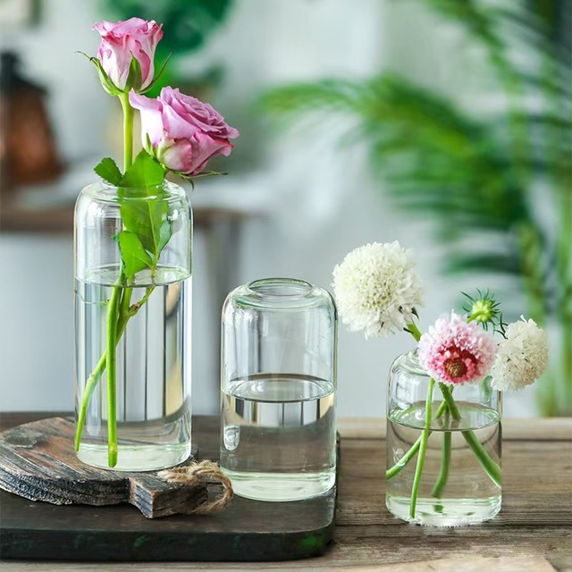 Clear Small Modern Borosilicate Cylinder Glass Bud Flower Vase Eco-Friendly and Decorative for Centerpieces