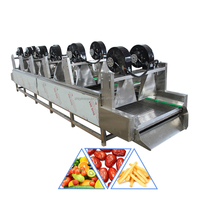 110V Goedkope Groente Dehydrator 3M Nieuw Model Industriële Groente Fruit Was- Reinigings- en Droogapparatuur