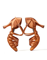 Nouvelles Chaussures de Danse Latine Professionnelles pour Femmes 2025 – Talons Hauts Personnalisés pour Tango, Jazz et Salsa