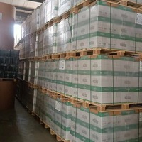 Papier Copie/Bond A4 de Qualité Industrielle 70gsm/75gsm/80gsm, 100% Pâte de Bois Vierge, Blanc Pur, 500 Feuilles/Boîte, Cinq Paquets